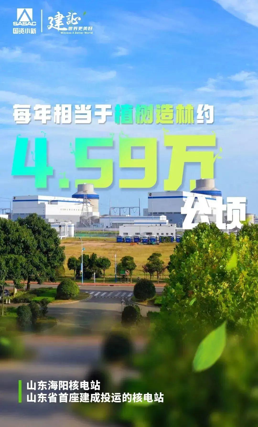 
北京世纪坛医院黄牛代挂号电话票贩子号贩子网上预约挂号,住院检查加快,解码“植树”大户的绿色算法