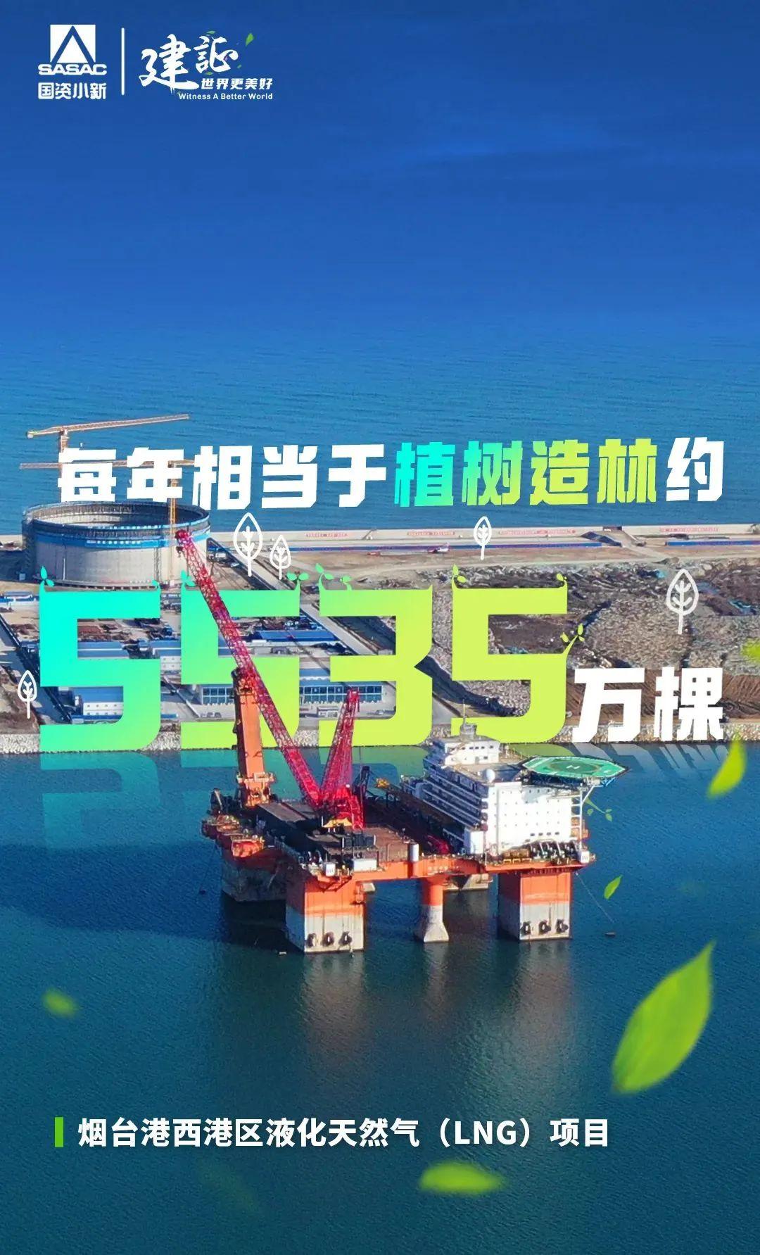 
北京世纪坛医院黄牛代挂号电话票贩子号贩子网上预约挂号,住院检查加快,解码“植树”大户的绿色算法