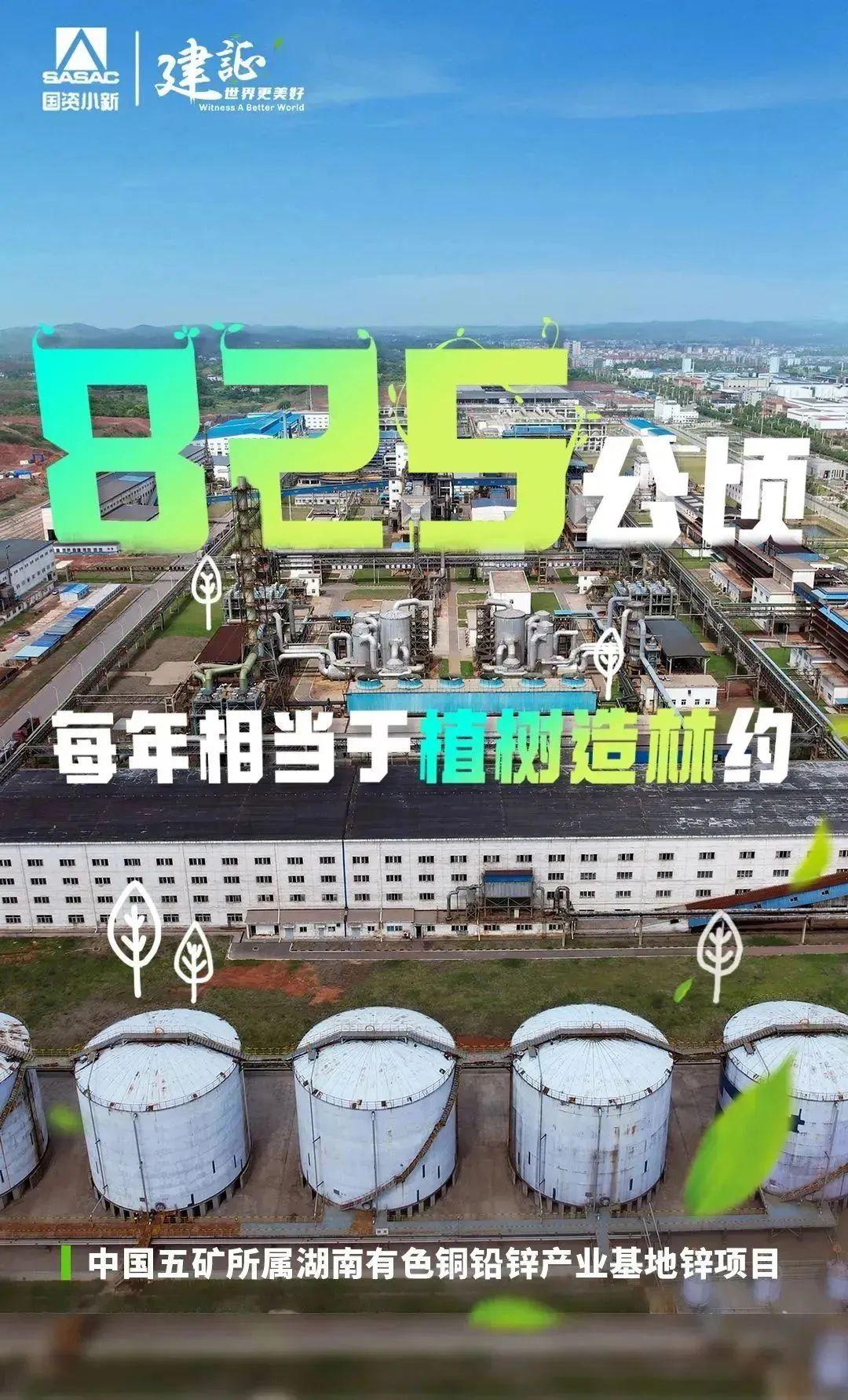 
北京世纪坛医院黄牛代挂号电话票贩子号贩子网上预约挂号,住院检查加快,解码“植树”大户的绿色算法