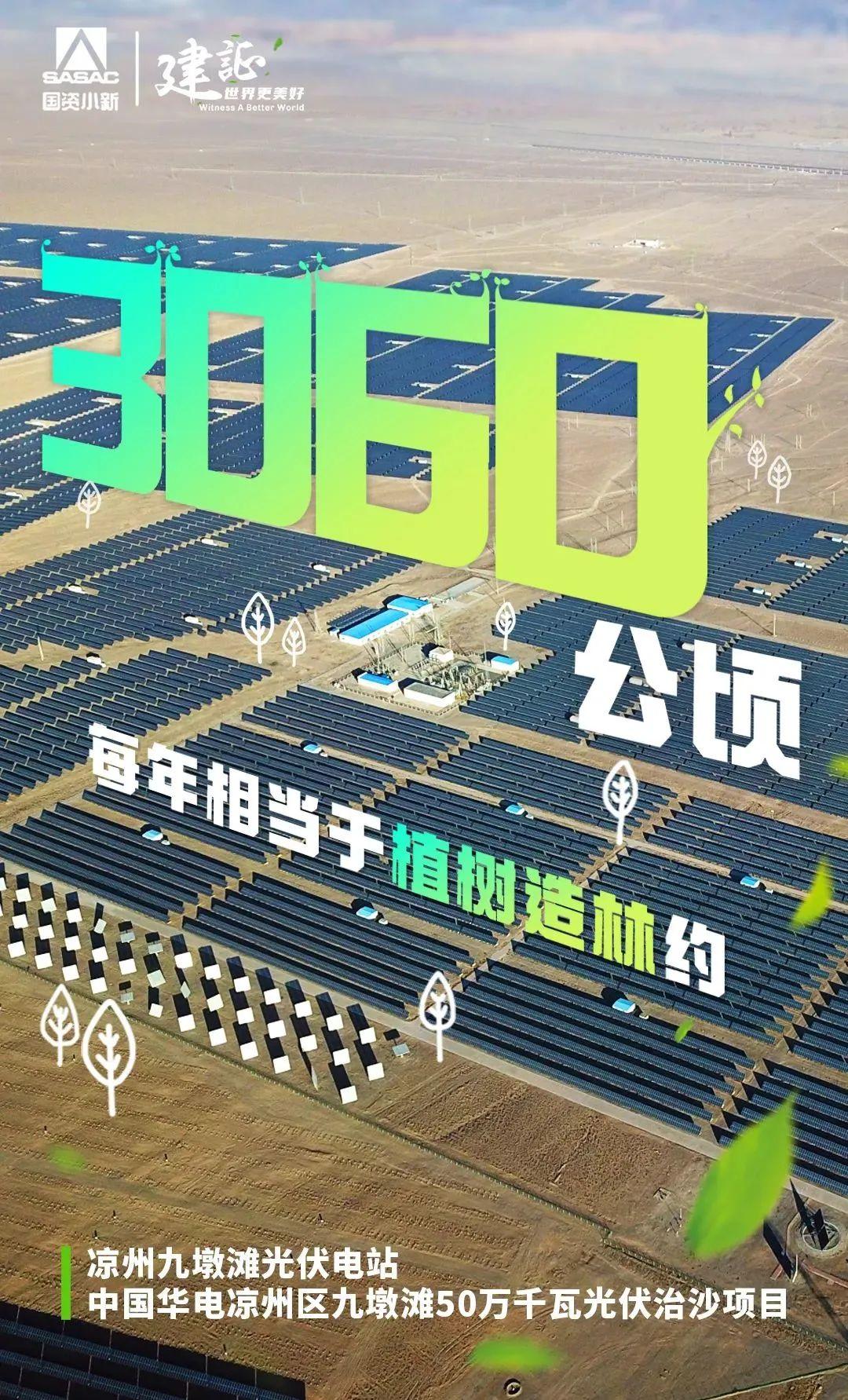 
北京世纪坛医院黄牛代挂号电话票贩子号贩子网上预约挂号,住院检查加快,解码“植树”大户的绿色算法