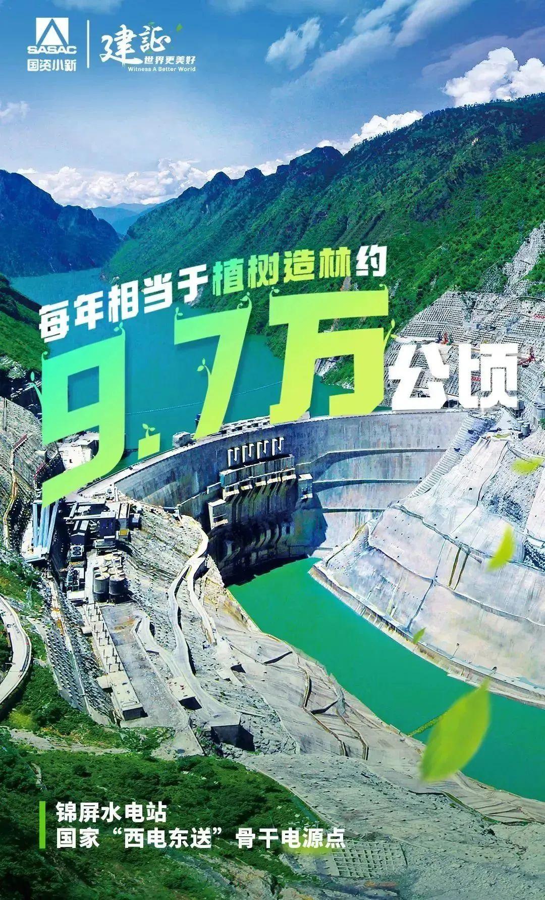 
北京世纪坛医院黄牛代挂号电话票贩子号贩子网上预约挂号,住院检查加快,解码“植树”大户的绿色算法