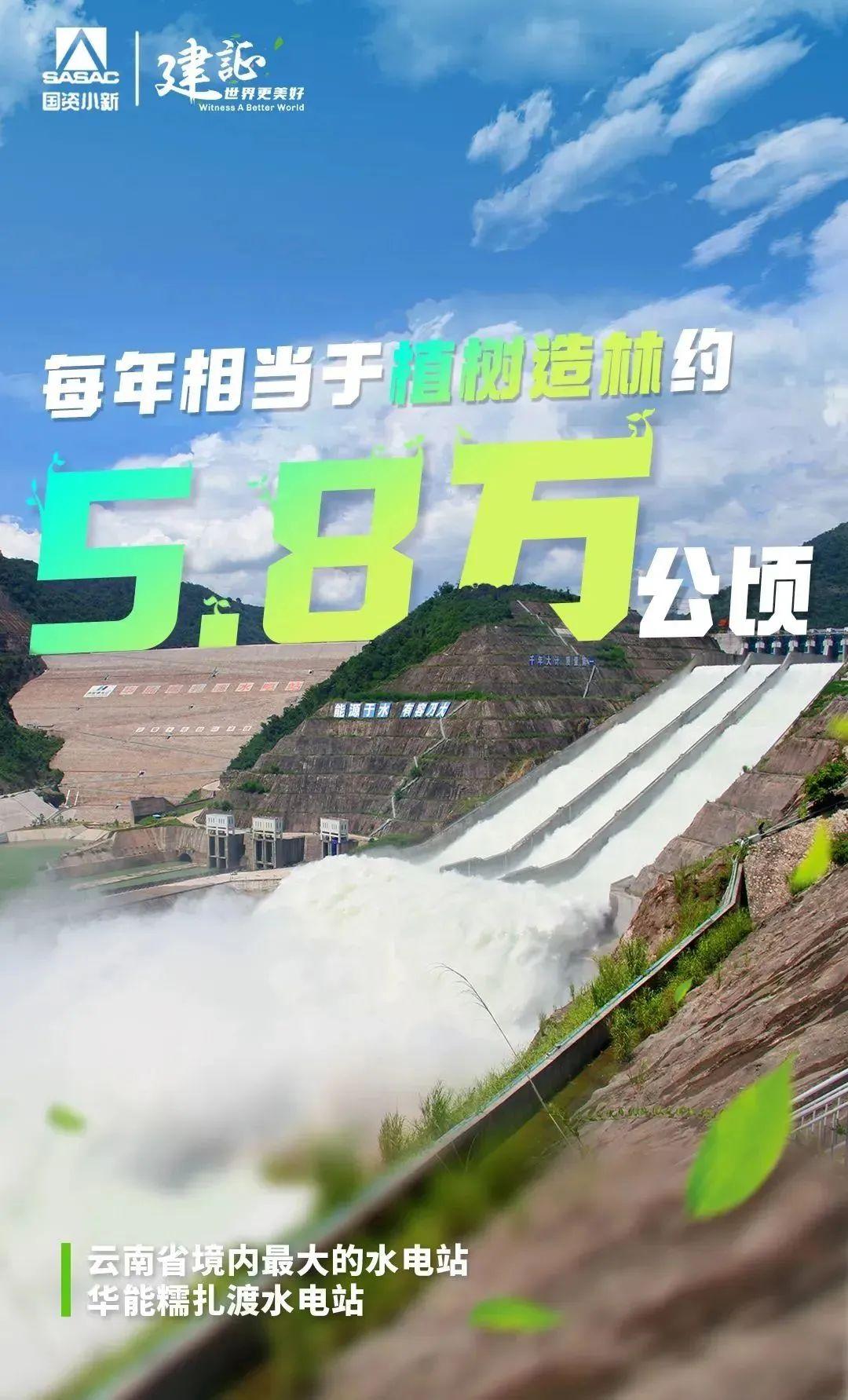 
北京世纪坛医院黄牛代挂号电话票贩子号贩子网上预约挂号,住院检查加快,解码“植树”大户的绿色算法