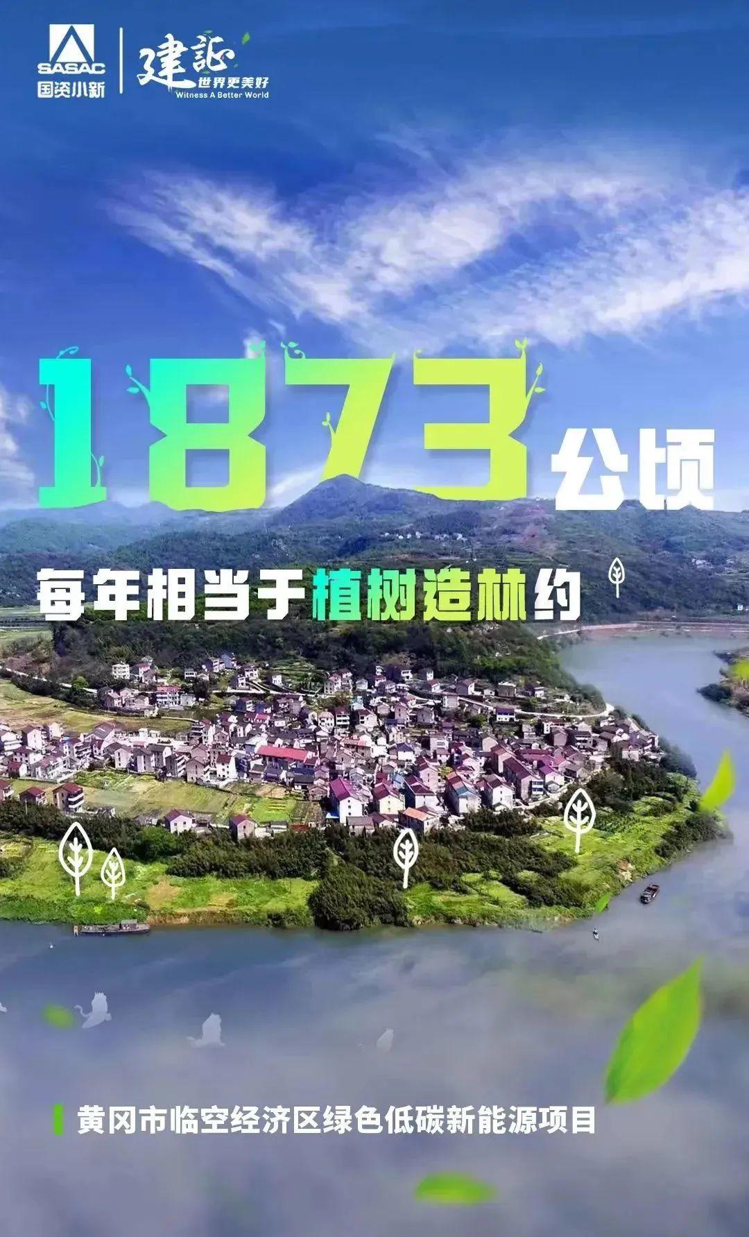 
北京世纪坛医院黄牛代挂号电话票贩子号贩子网上预约挂号,住院检查加快,解码“植树”大户的绿色算法