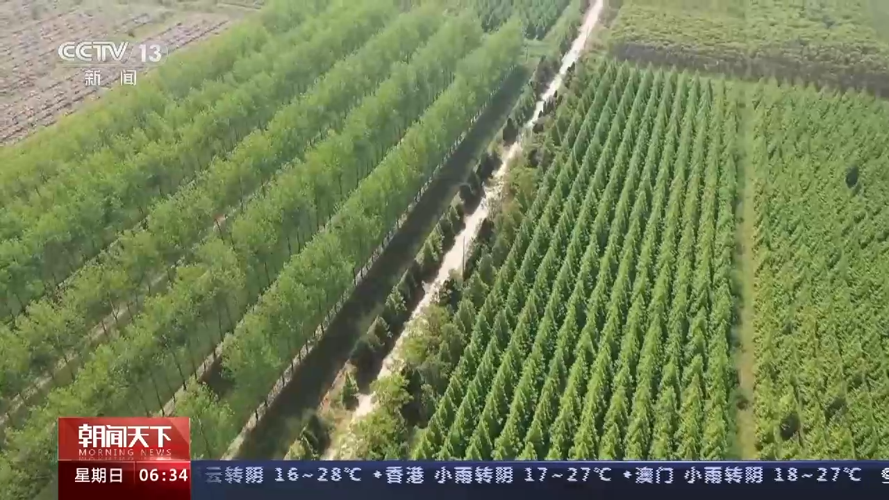 
杭州市第一人民医院黄牛代挂号电话票贩子号贩子网上预约挂号,住院检查加快,10年新增森林面积2200多万公顷 我国国土绿化重大工程取得新进展