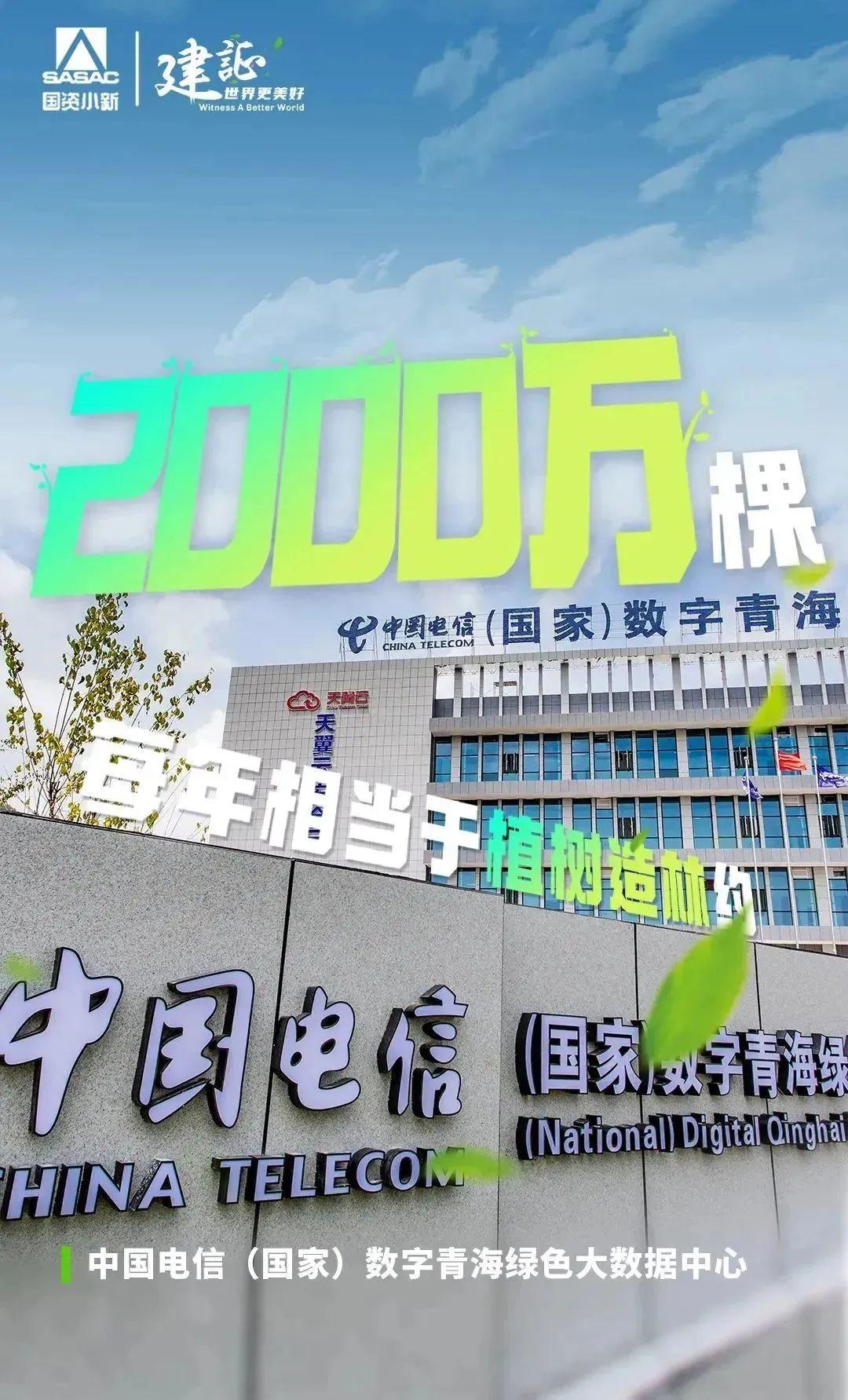 
北京世纪坛医院黄牛代挂号电话票贩子号贩子网上预约挂号,住院检查加快,解码“植树”大户的绿色算法