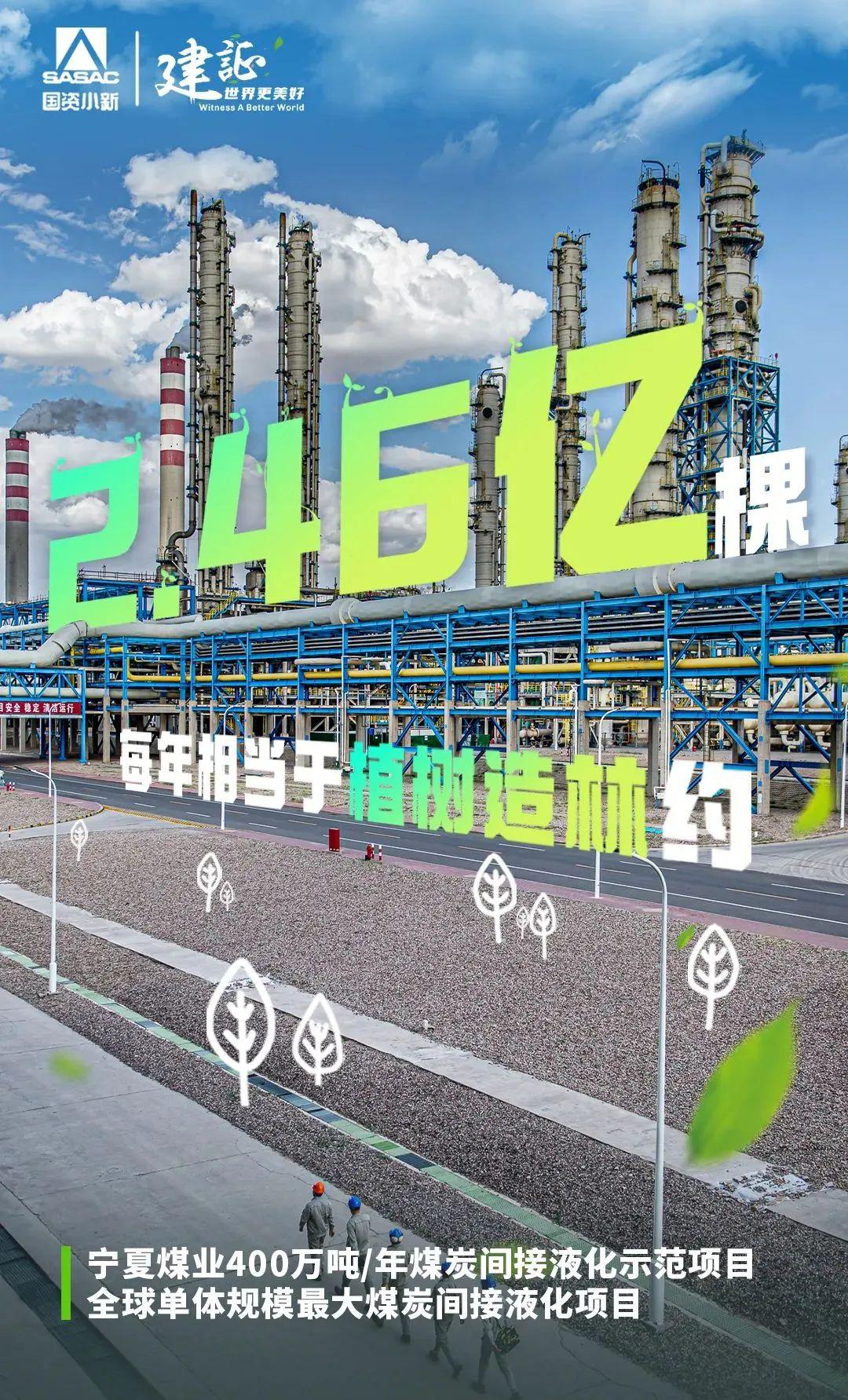 
北京世纪坛医院黄牛代挂号电话票贩子号贩子网上预约挂号,住院检查加快,解码“植树”大户的绿色算法