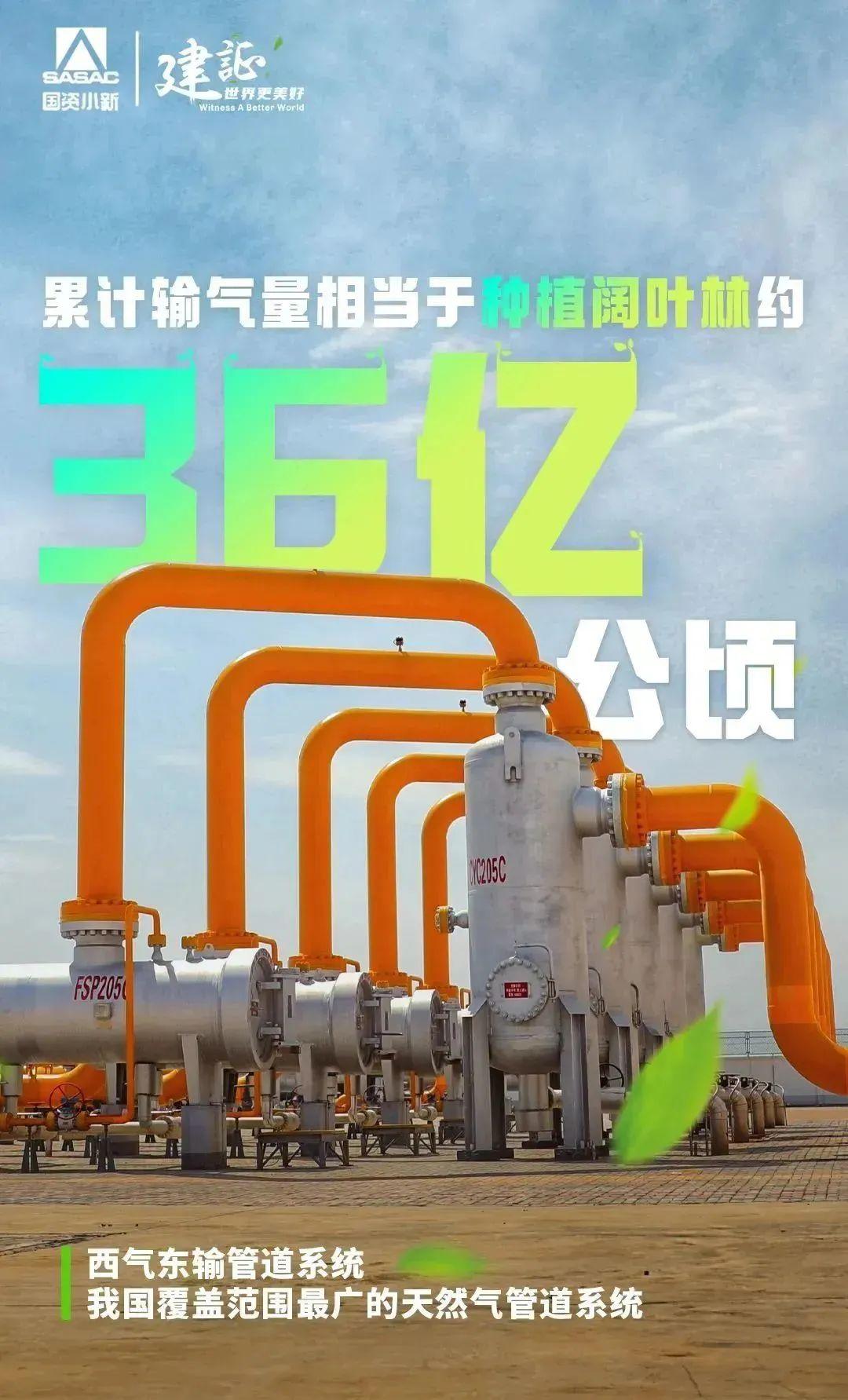 
北京世纪坛医院黄牛代挂号电话票贩子号贩子网上预约挂号,住院检查加快,解码“植树”大户的绿色算法