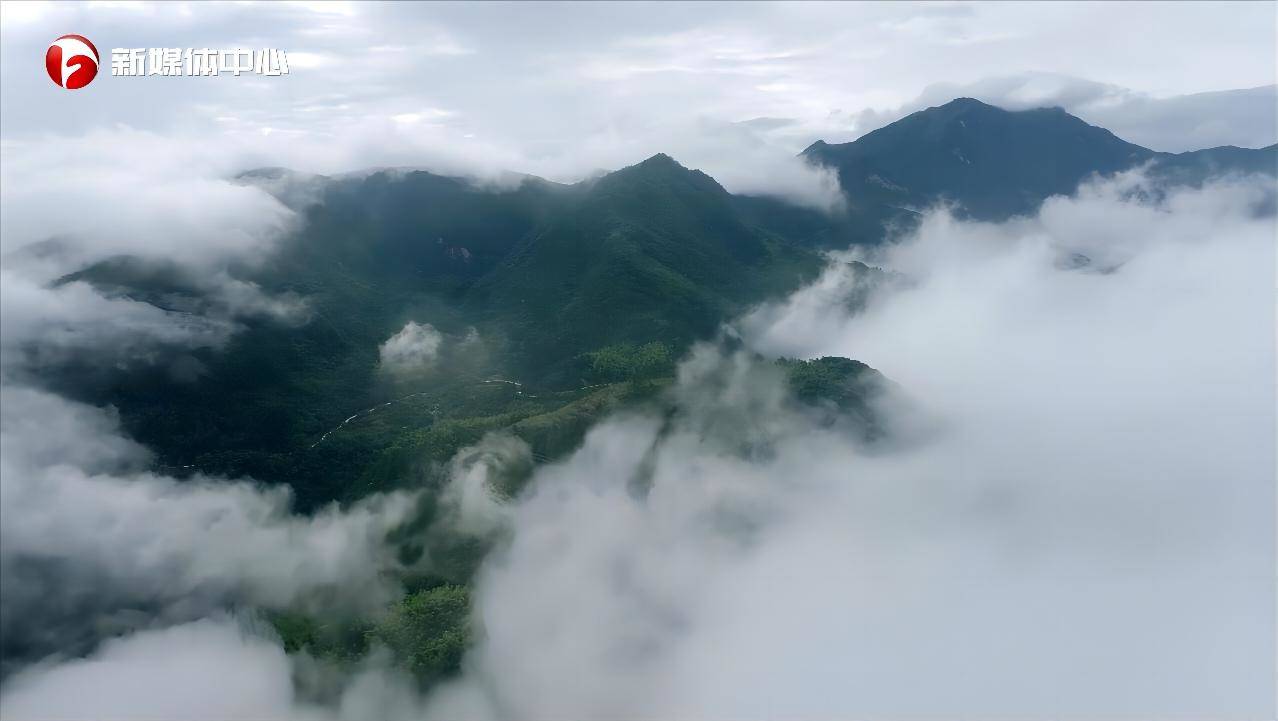 
天津肿瘤医院黄牛代挂号电话票贩子号贩子网上预约挂号,住院检查加快,“请总书记放心，我们一定会把大湾村建设得更美更好”