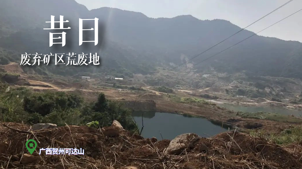 
首都医科大学附属北京胸科医院黄牛代挂号电话票贩子号贩子网上预约挂号,住院检查加快,今昔对比，看废弃矿山如何重披绿装