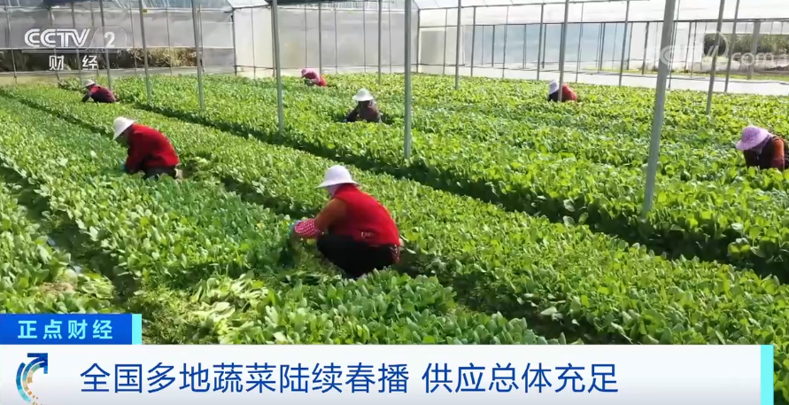 
北京大学第三医院黄牛代挂号电话票贩子号贩子网上预约挂号,住院检查加快,确保“米袋子”“菜篮子”量足价稳 中国多地一片忙碌景象