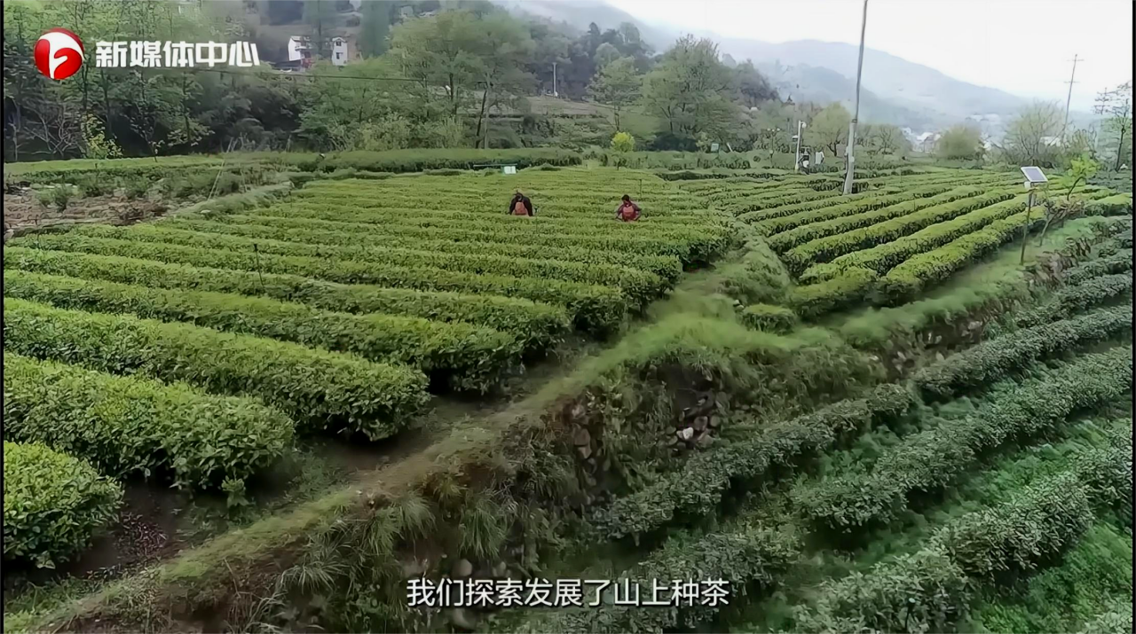 
天津肿瘤医院黄牛代挂号电话票贩子号贩子网上预约挂号,住院检查加快,“请总书记放心，我们一定会把大湾村建设得更美更好”