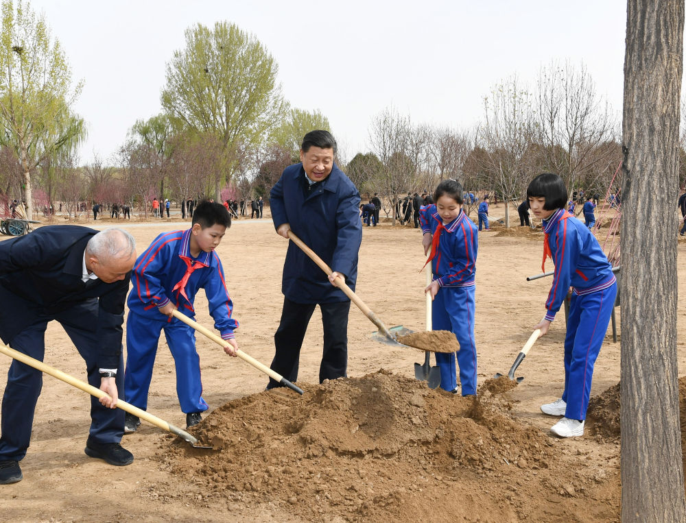 
南京中科研究所黄牛代挂号电话票贩子号贩子网上预约挂号,住院检查加快,植树节，跟着总书记一起种下绿色的希望