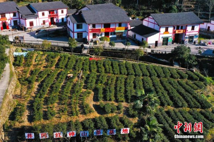 
南京中科研究所黄牛代挂号电话票贩子号贩子网上预约挂号,住院检查加快,巴基斯坦学者：我是中国发展道路的追随者丨两会·世界观