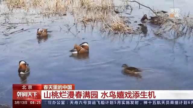 
江苏省中医院黄牛代挂号电话票贩子号贩子网上预约挂号,住院检查加快,春天里的中国丨春光正好 生机萌动