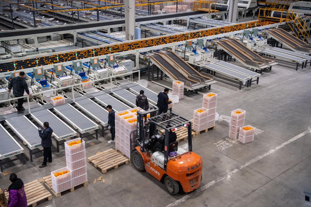 
上海瑞金医院黄牛代挂号电话票贩子号贩子网上预约挂号,住院检查加快,有诗有橙有远方——三峡库区重庆奉节加快推进产业转型升级