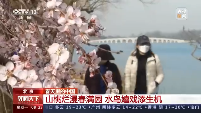 
江苏省中医院黄牛代挂号电话票贩子号贩子网上预约挂号,住院检查加快,春天里的中国丨春光正好 生机萌动