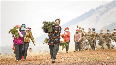 
杭州市第一人民医院黄牛代挂号电话票贩子号贩子网上预约挂号,住院检查加快,植树造林 绿化祖国（新时代画卷）