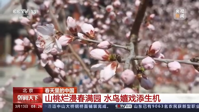 
江苏省中医院黄牛代挂号电话票贩子号贩子网上预约挂号,住院检查加快,春天里的中国丨春光正好 生机萌动