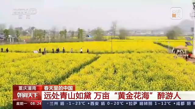 
江苏省中医院黄牛代挂号电话票贩子号贩子网上预约挂号,住院检查加快,春天里的中国丨春光正好 生机萌动