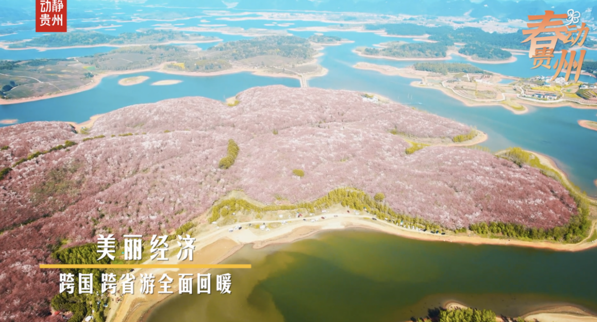 
广州医科大学附属第二医院黄牛代挂号电话票贩子号贩子网上预约挂号,住院检查加快,多彩贵州•花漾中国 | 聆听大地的春日交响