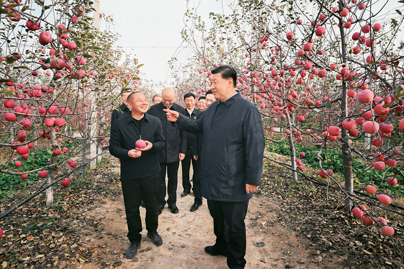 
广州各大医院黄牛代挂号电话票贩子号贩子网上预约挂号,住院检查加快,加快建设农业强国 推进农业农村现代化