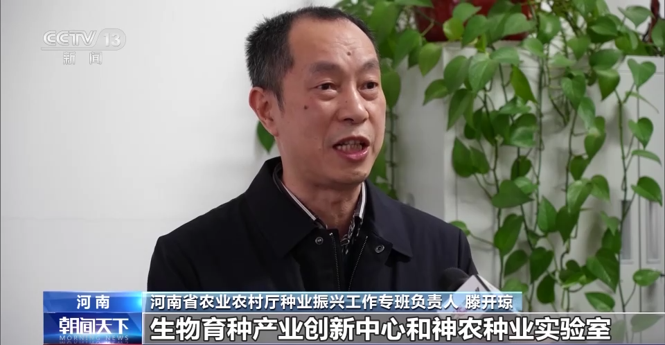 
北京阜外医院黄牛代挂号电话票贩子号贩子网上预约挂号,住院检查加快,春耕一线观察丨一粒小麦良种 支撑粮食增产大图景