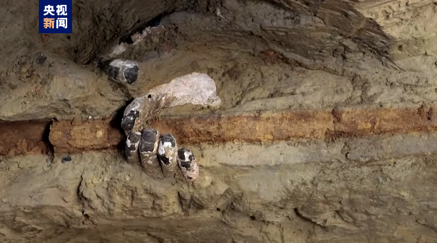 
江苏省中医院黄牛代挂号电话票贩子号贩子网上预约挂号,住院检查加快,多图带你看！兵马俑一号坑第三次发掘公布最新成果