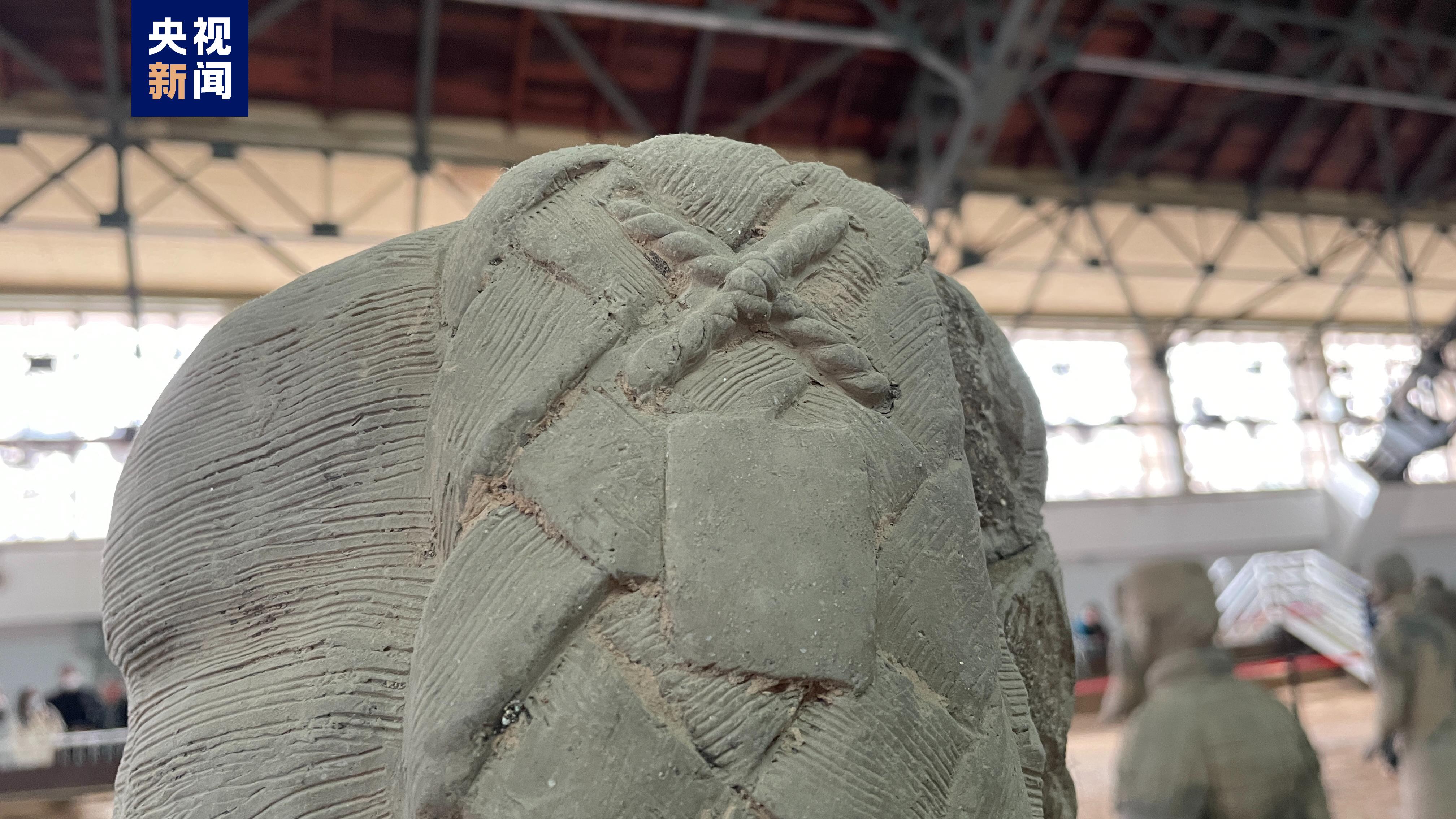 
江苏省中医院黄牛代挂号电话票贩子号贩子网上预约挂号,住院检查加快,多图带你看！兵马俑一号坑第三次发掘公布最新成果