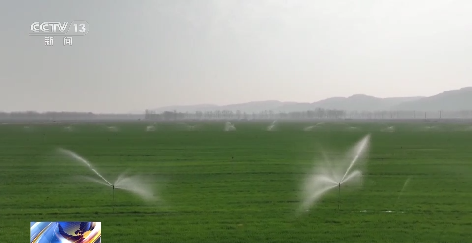 
北京阜外医院黄牛代挂号电话票贩子号贩子网上预约挂号,住院检查加快,春耕一线观察丨一粒小麦良种 支撑粮食增产大图景