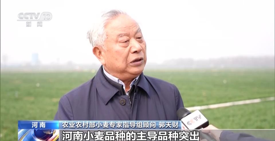 
北京阜外医院黄牛代挂号电话票贩子号贩子网上预约挂号,住院检查加快,春耕一线观察丨一粒小麦良种 支撑粮食增产大图景