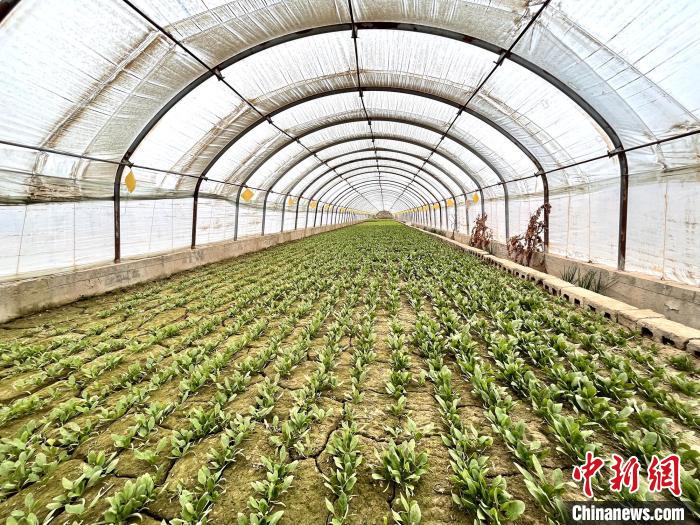
上海各大医院黄牛代挂号电话票贩子号贩子网上预约挂号,住院检查加快,新疆宜居宜业和美乡村“美”在何方？