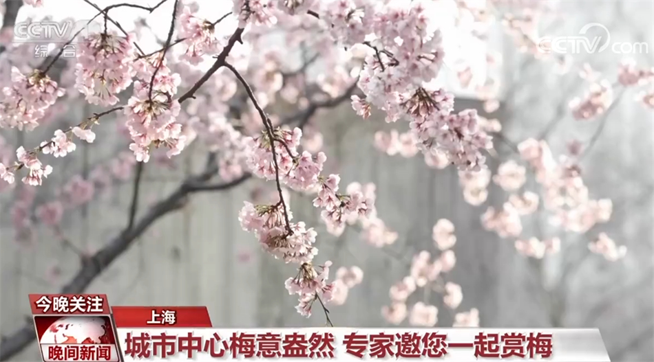 
浙江大学儿童医院黄牛代挂号电话票贩子号贩子网上预约挂号,住院检查加快,提振消费 丰富文化生活 “烟火气”里看活力中国