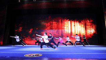 
沈阳医大二院黄牛代挂号电话票贩子号贩子网上预约挂号,住院检查加快,全球连线丨中华文化的“青春力量”：恋“国术”，传承“中国魂”