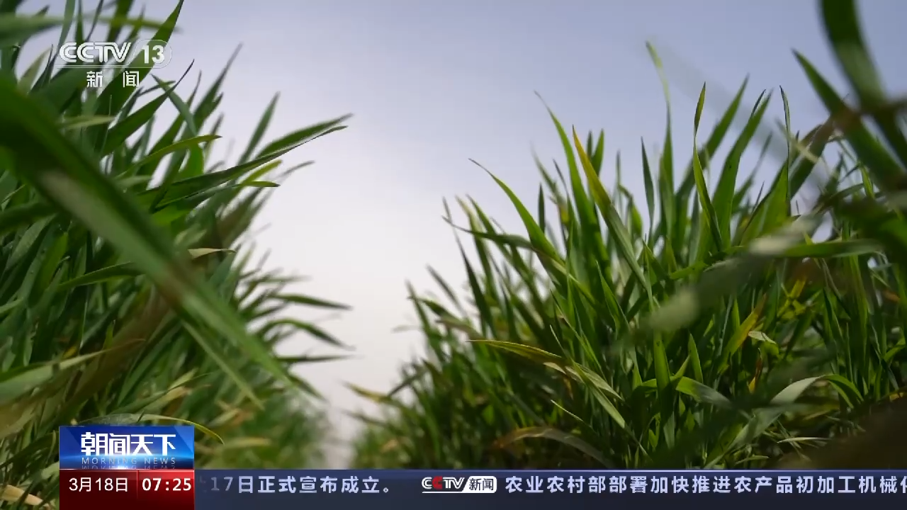 
首都医科大学附属天坛医院黄牛代挂号电话票贩子号贩子网上预约挂号,住院检查加快,春耕一线观察丨科技大显身手：“星”眼观测苗情 无人机施肥打药