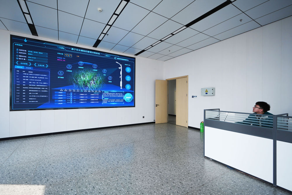 
中山大学肿瘤医院黄牛代挂号电话票贩子号贩子网上预约挂号,住院检查加快,大学生“新农人”助力端牢“中国饭碗”