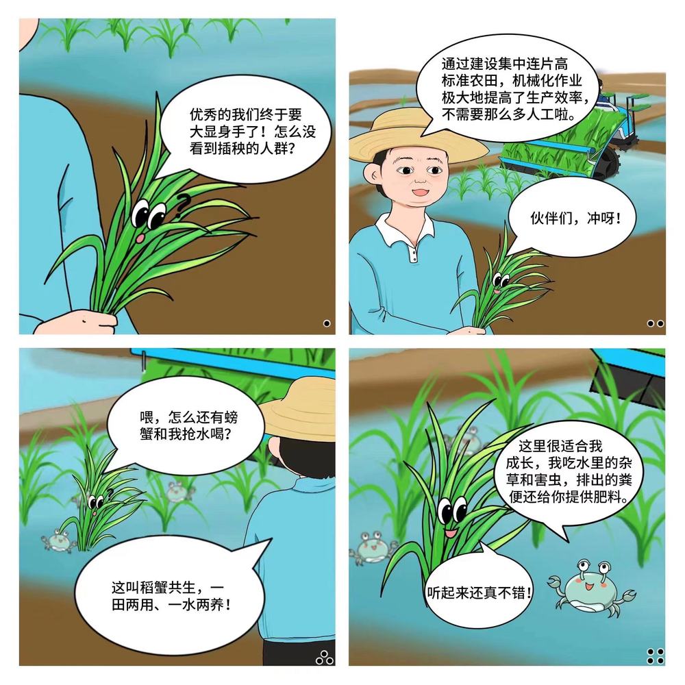 
上海华山医院黄牛代挂号电话票贩子号贩子网上预约挂号,住院检查加快,创意漫画|一粒种子的旅行