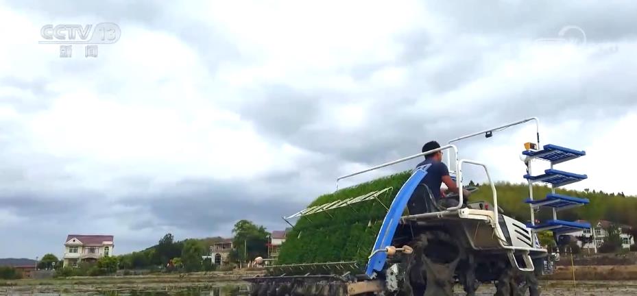 
首都医科大学附属北京中医院黄牛代挂号电话票贩子号贩子网上预约挂号,住院检查加快,全国早稻育秧已完成41.8% 进度同比快4.3个百分点