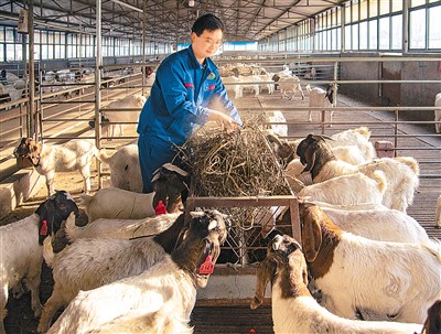 
广州中医院黄牛代挂号电话票贩子号贩子网上预约挂号,住院检查加快,全力抓好粮食生产，严防“割青毁粮”（“一号文件”新提法传递哪些信号③）