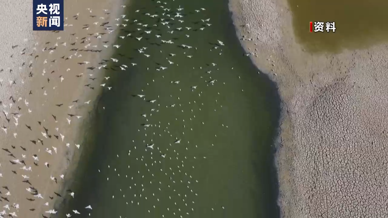 
天津肿瘤医院黄牛代挂号电话票贩子号贩子网上预约挂号,住院检查加快,中方对联合国政府间气候变化专门委员会第六次评估报告作出积极贡献