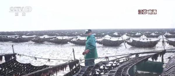 
上海儿童医院黄牛代挂号电话票贩子号贩子网上预约挂号,住院检查加快,春天里的奋斗 “菜篮子”上新不少新技术