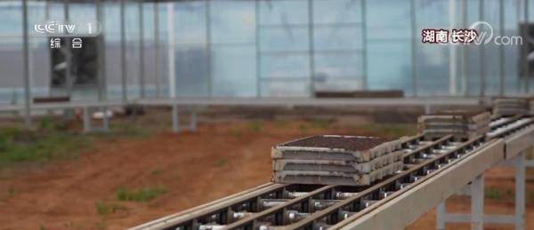 
上海儿童医院黄牛代挂号电话票贩子号贩子网上预约挂号,住院检查加快,春天里的奋斗 “菜篮子”上新不少新技术