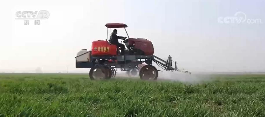 
浙江大学妇产科医院黄牛代挂号电话票贩子号贩子网上预约挂号,住院检查加快,土地规模化经营助推农业现代化