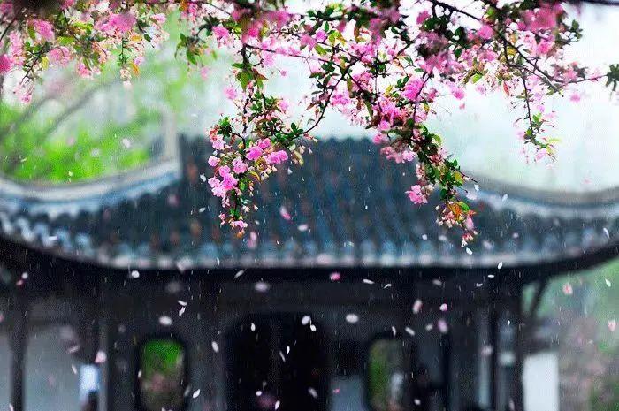 
广州中山三医院黄牛代挂号电话票贩子号贩子网上预约挂号,住院检查加快,春分丨生活明朗，万物可爱