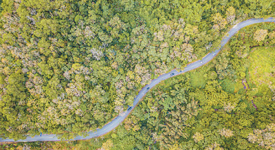 
中国中医科学院望京医院黄牛代挂号电话票贩子号贩子网上预约挂号,住院检查加快,植此青绿 点染中国