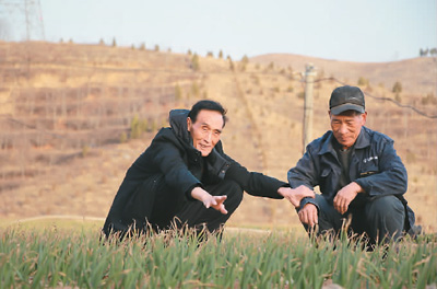 
中国中医科学院望京医院黄牛代挂号电话票贩子号贩子网上预约挂号,住院检查加快,植此青绿 点染中国