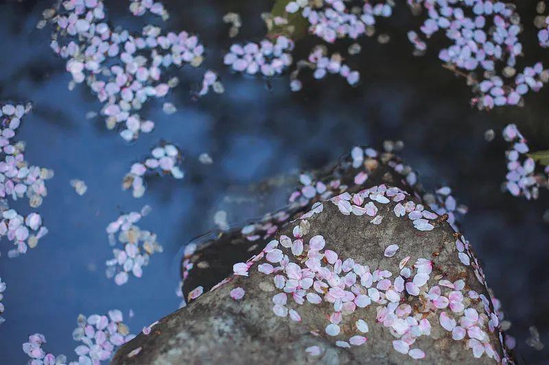 
广州中山三医院黄牛代挂号电话票贩子号贩子网上预约挂号,住院检查加快,春分丨生活明朗，万物可爱