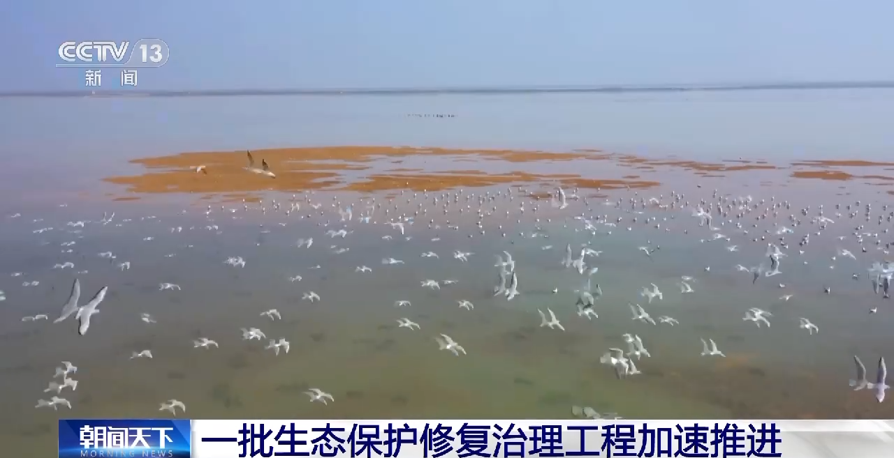 
浙江省人民医院黄牛代挂号电话票贩子号贩子网上预约挂号,住院检查加快,农业面源污染拦截、修复退化湿地……一批生态保护修复治理工程加速推进