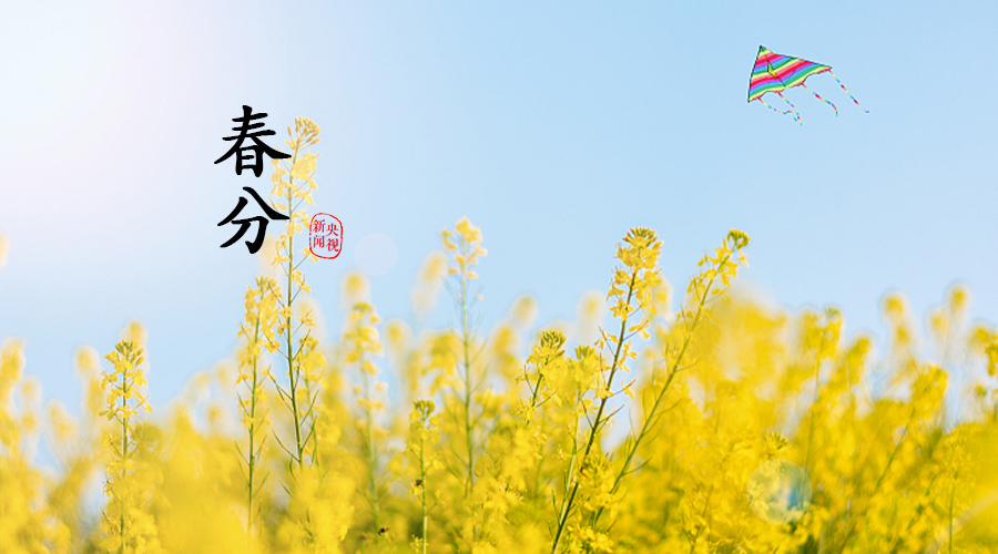 
广州中山三医院黄牛代挂号电话票贩子号贩子网上预约挂号,住院检查加快,春分丨生活明朗，万物可爱