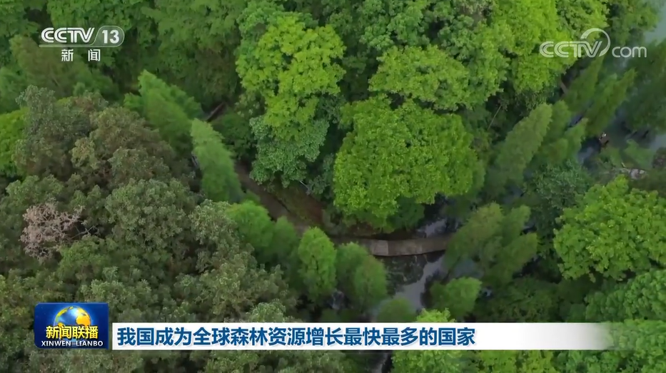 
天津肿瘤医院黄牛代挂号电话票贩子号贩子网上预约挂号,住院检查加快,我国成为全球森林资源增长最快最多的国家