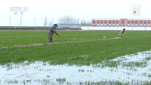 
杭州市三医院黄牛代挂号电话票贩子号贩子网上预约挂号,住院检查加快,焦点访谈丨治理超采 保护水资源